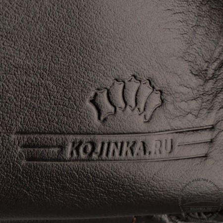 Кожаный портфель "Борменталь" (тёмно-коричневый)